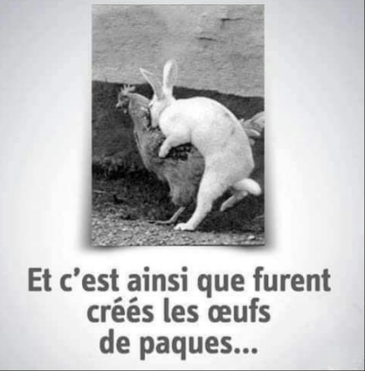 Name:  20230407_195129.jpg
Views: 67
Size:  54.6 KB