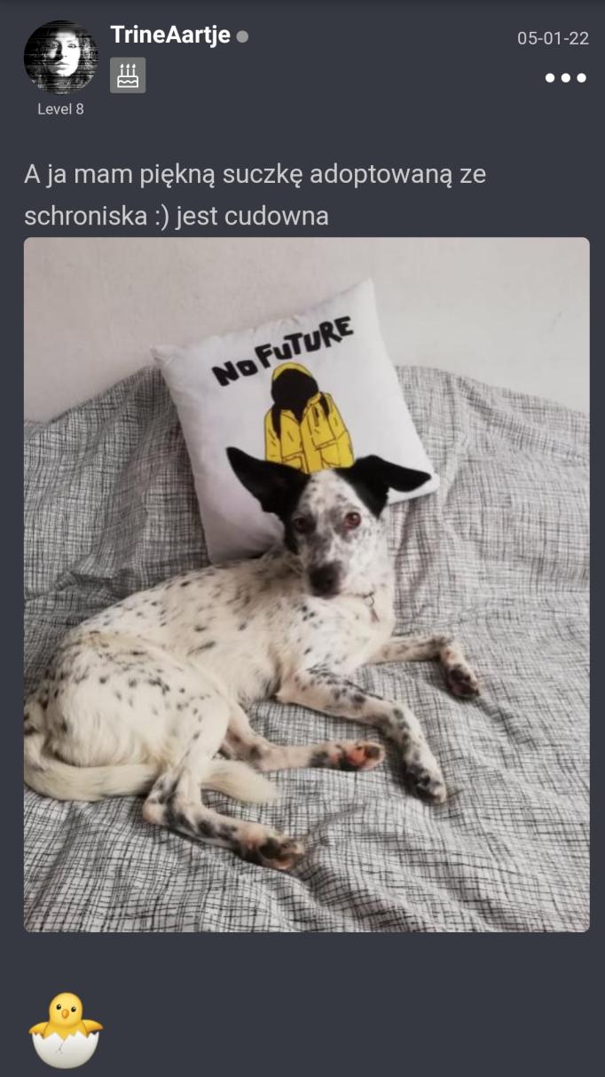 Name:  SmartSelect_20230411_195941_Chrome.jpg
Views: 78
Size:  93.9 KB