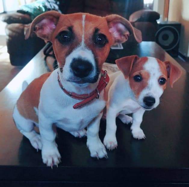 Name:  FB_IMG_1625581098088.jpg
Views: 1595
Size:  30.2 KB