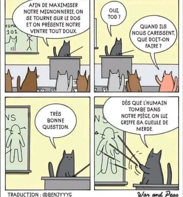 Name:  FufK3OOX0AITASH.jpg
Views: 61
Size:  82.8 KB