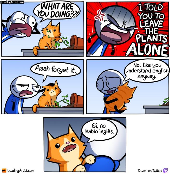 Name:  20230426_151248.jpg
Views: 37
Size:  95.0 KB