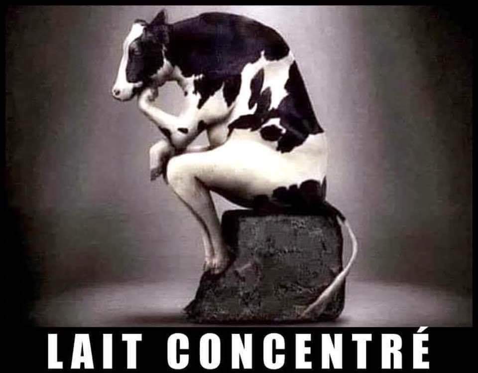 Name:  20230420_203803.jpg
Views: 36
Size:  42.8 KB