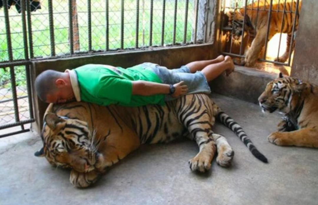 Name:  Screenshot 2023-04-28 171740.jpg
Views: 73
Size:  91.3 KB