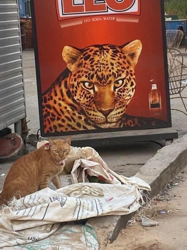 Name:  20230504_114706.jpg
Views: 51
Size:  94.4 KB