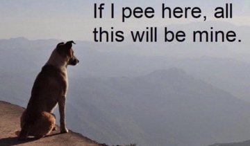 Name:  20230507_235431.jpg
Views: 63
Size:  12.0 KB