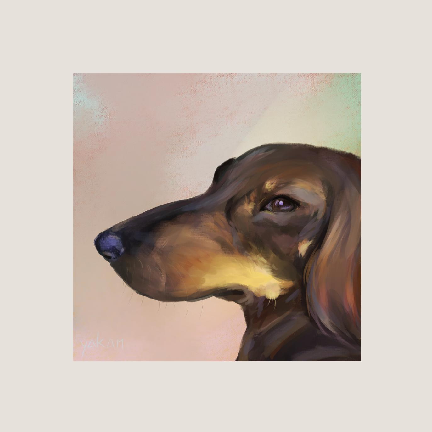 Name:  yakan-daschund.jpg
Views: 412
Size:  79.2 KB