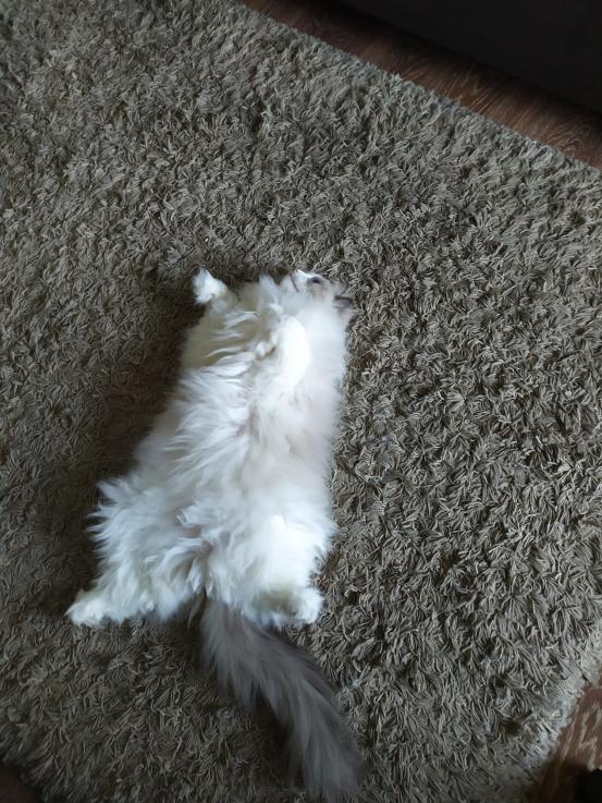 Name:  photo.jpg
Views: 80
Size:  99.9 KB