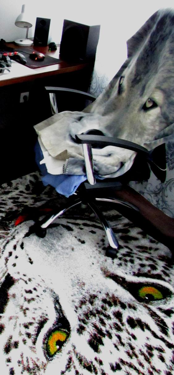 Name:  fotel (4).jpg
Views: 151
Size:  102.1 KB