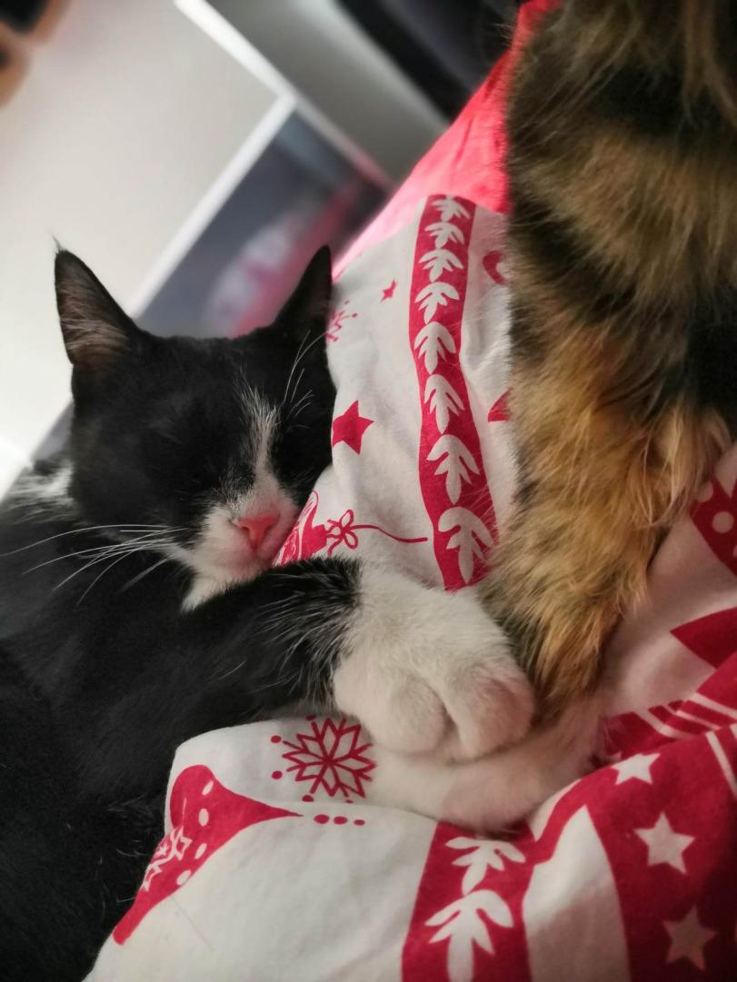 Name:  348367501_706724361211905_1943046879295748465_n.jpg
Views: 69
Size:  85.8 KB