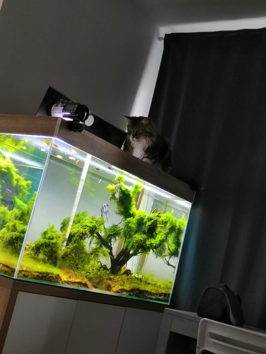 Name:  IMG_20190216_093733.jpg
Views: 70
Size:  88.1 KB