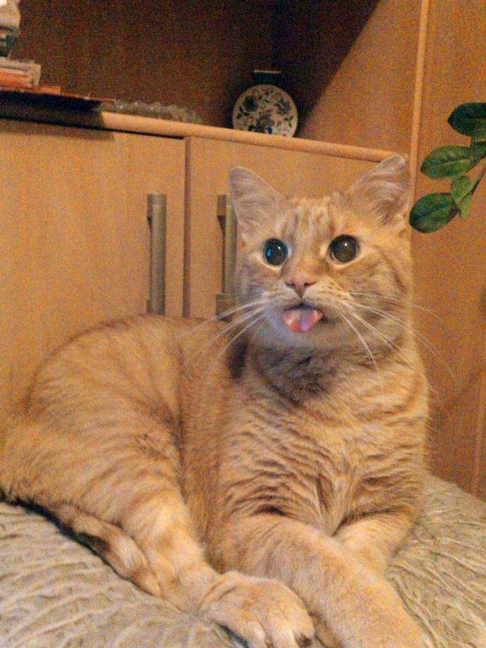 Name:  1682713697830.jpg
Views: 85
Size:  96.3 KB