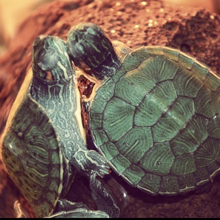 Name:  Screenshot_20210713_193345.jpg
Views: 155
Size:  89.0 KB