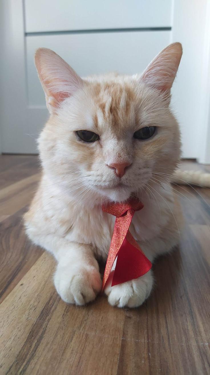 Name:  ryszard.jpg
Views: 282
Size:  93.0 KB