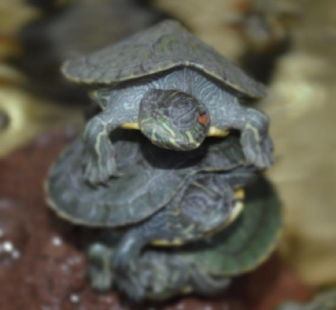 Name:  Screenshot_20210713_193334.jpg
Views: 141
Size:  57.4 KB