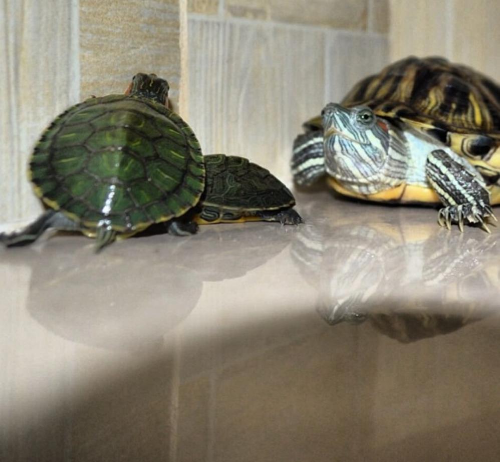 Name:  Screenshot_20210713_193320.jpg
Views: 138
Size:  79.4 KB