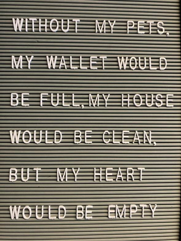 Name:  20230528_215228.jpg
Views: 71
Size:  101.1 KB