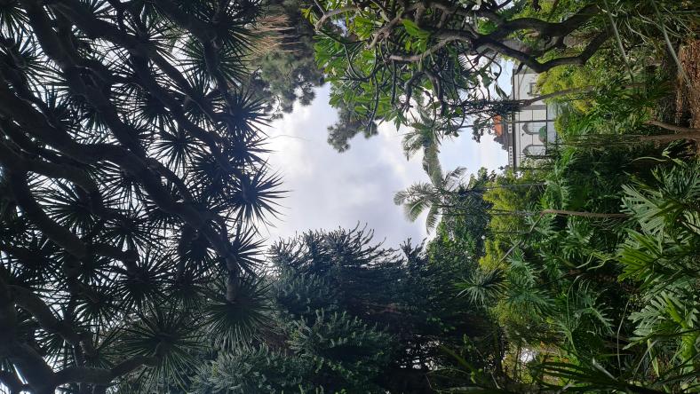 Name:  20230528_162220.jpg
Views: 53
Size:  102.5 KB