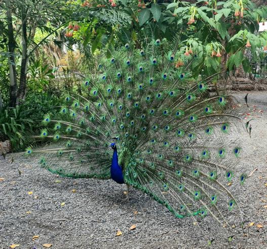 Name:  20230531_204408.jpg
Views: 51
Size:  97.4 KB