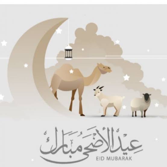 Name:  images (1).jpeg
Views: 82
Size:  15.3 KB