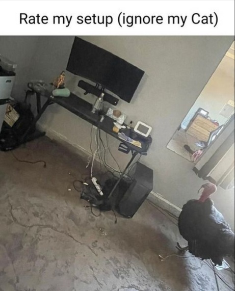 Name:  20230605_131430.jpg
Views: 59
Size:  67.0 KB