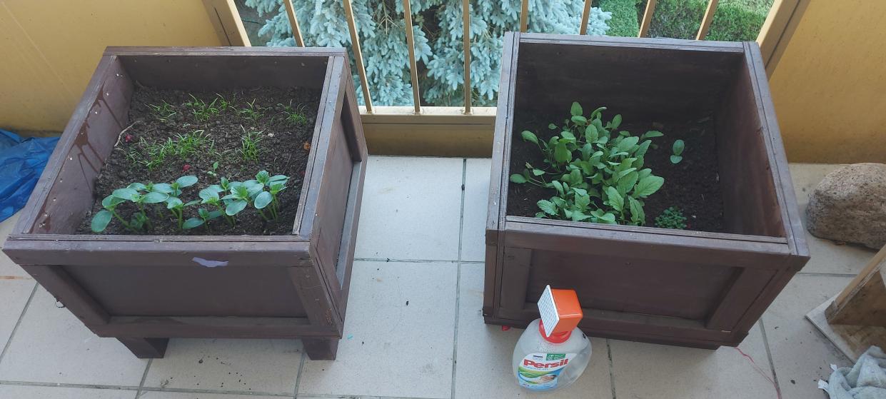 Name:  20230606_180749.jpg
Views: 113
Size:  99.2 KB