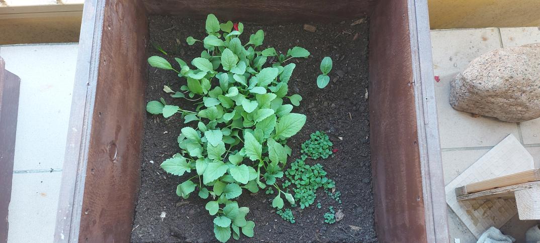 Name:  20230606_180757.jpg
Views: 115
Size:  100.4 KB