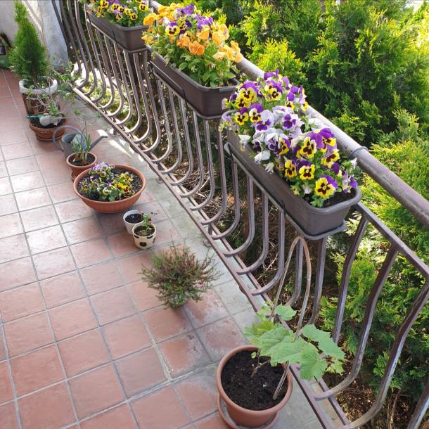 Name:  20230607_075457.jpg
Views: 101
Size:  97.9 KB