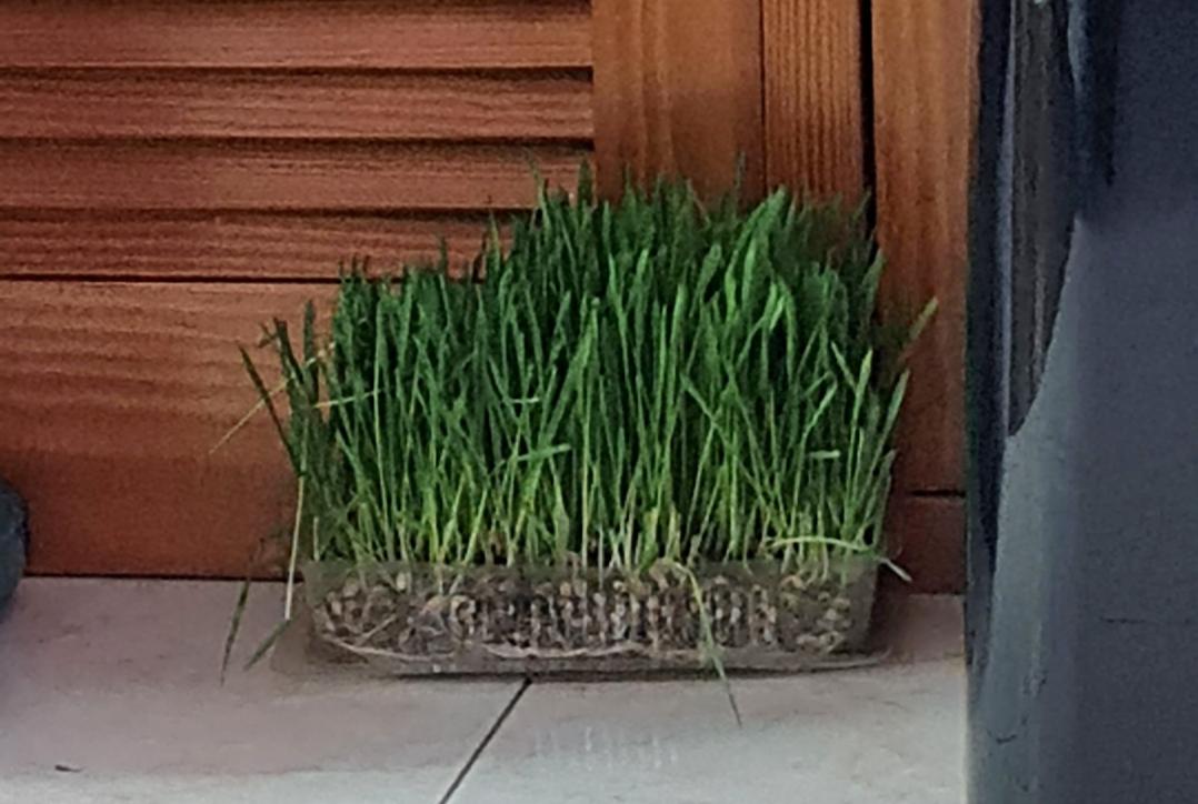 Name:  20230607_191628.jpg
Views: 61
Size:  89.9 KB