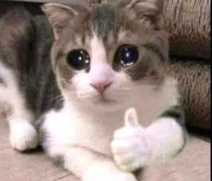 Name:  Polish_٢٠٢٣٠٦٠٨_٠٧١٨٠٠١٥٣.jpg
Views: 87
Size:  36.0 KB