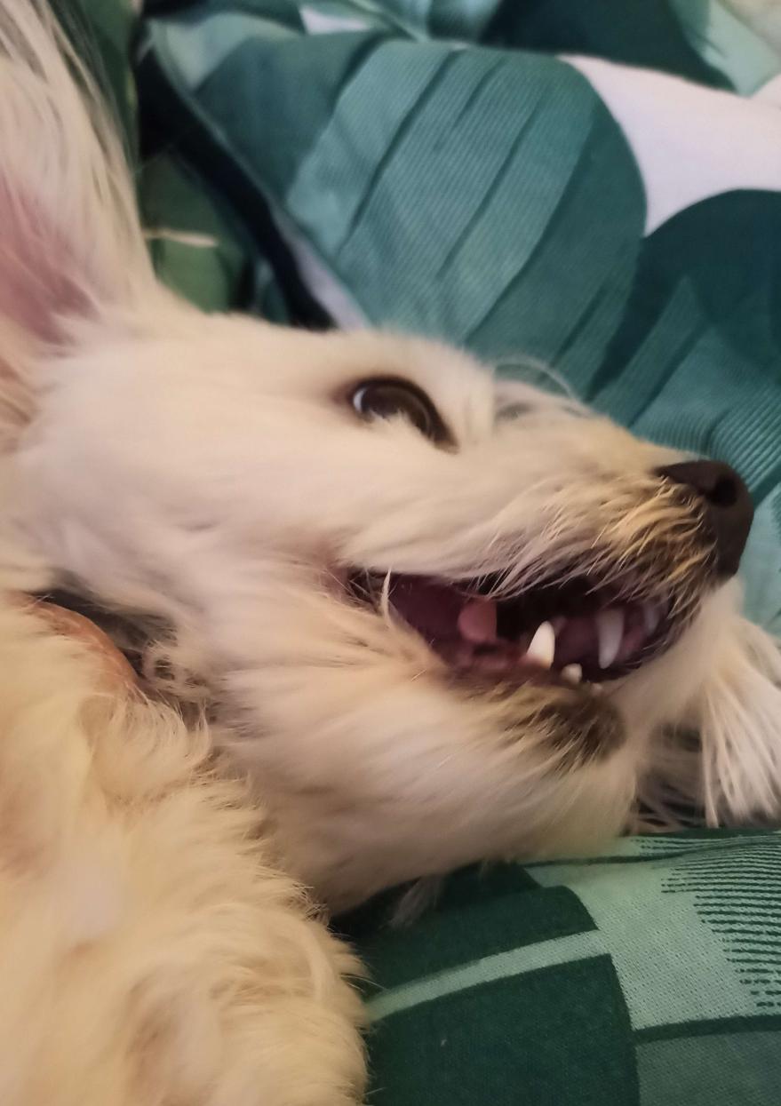 Name:  1686226971122.jpg
Views: 95
Size:  85.3 KB