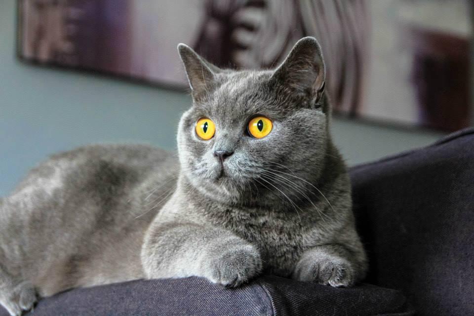 Name:  a0df273d-24e8-4c8d-91e0-335c9047a588.jpg
Views: 93
Size:  67.3 KB