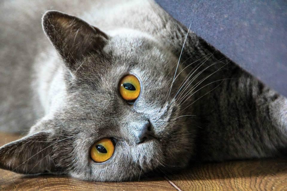 Name:  ac02cc7e-76de-43ab-b9d8-a1d4e87e910c.jpg
Views: 93
Size:  88.3 KB