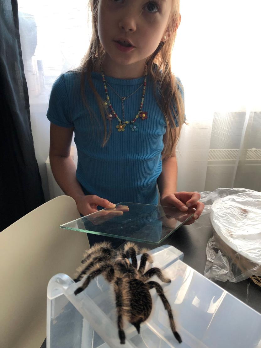 Name:  4a1141a8-8935-4d8f-a5ce-e3c6f6f15941.jpg
Views: 94
Size:  87.9 KB