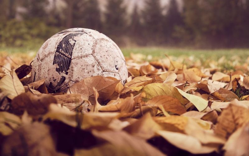 Name:  naturegame.jpg
Views: 74
Size:  58.2 KB