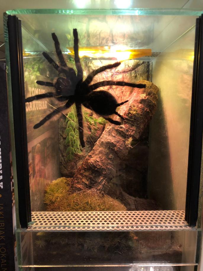 Name:  c0d06377-aec1-4cfd-b60f-37ffa0b2e13c.jpg
Views: 90
Size:  93.9 KB