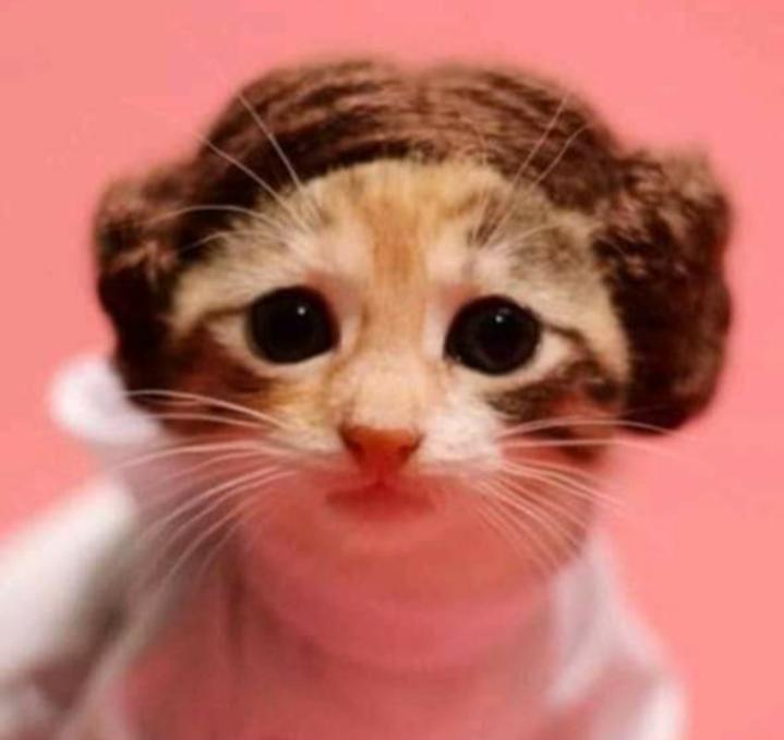 Name:  Polish_٢٠٢٣٠٦٠٨_٠٧٤٠٢٣٥٧٨.jpg
Views: 74
Size:  33.3 KB