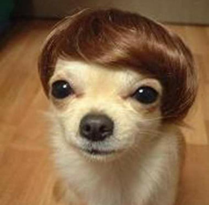 Name:  Polish_٢٠٢٣٠٦٠٨_٠٧٢٢١٥٥٢٨.jpg
Views: 75
Size:  33.9 KB