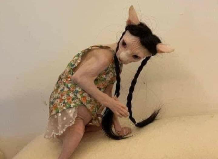 Name:  Polish_٢٠٢٣٠٦٠٨_٠٧٢٤٤٨٩٧٥.jpg
Views: 78
Size:  26.9 KB