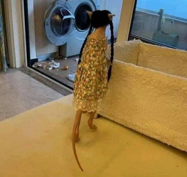 Name:  Polish_٢٠٢٣٠٦٠٨_٠٧٢٤١٢٢٥١.jpg
Views: 77
Size:  47.6 KB