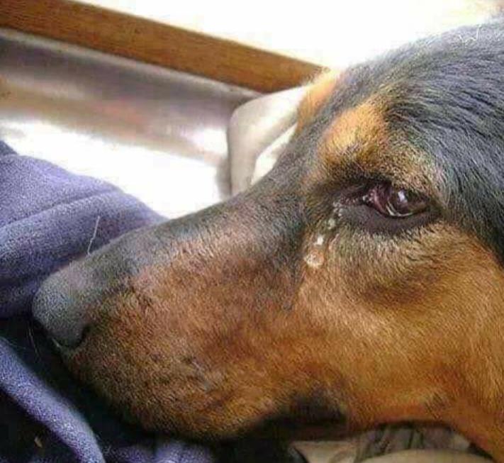 Name:  Polish_٢٠٢٣٠٦٠٨_٠٧٢٢٤١٥٥١.jpg
Views: 70
Size:  66.3 KB