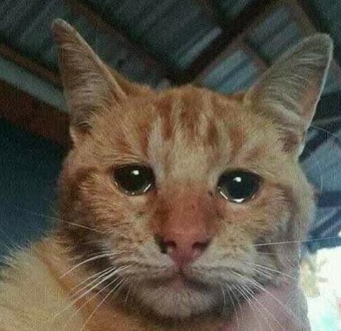 Name:  Polish_٢٠٢٣٠٦٠٨_٠٧٢٣١٦٧٢١.jpg
Views: 69
Size:  38.0 KB