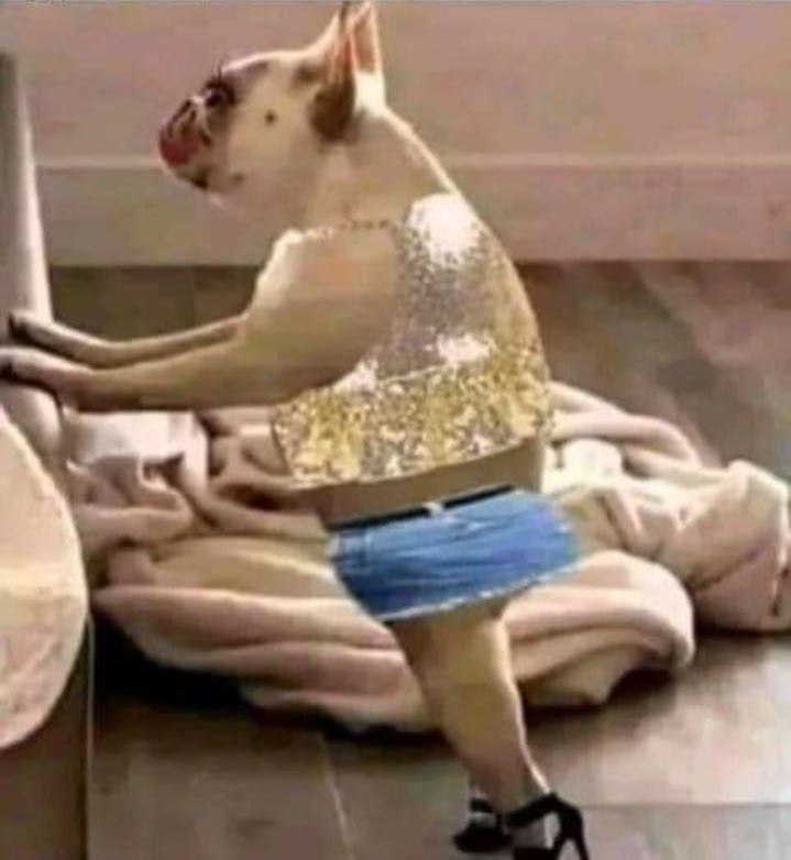 Name:  Polish_٢٠٢٣٠٦٠٨_٠٧١٩٠٨٣٦٠.jpg
Views: 80
Size:  43.5 KB