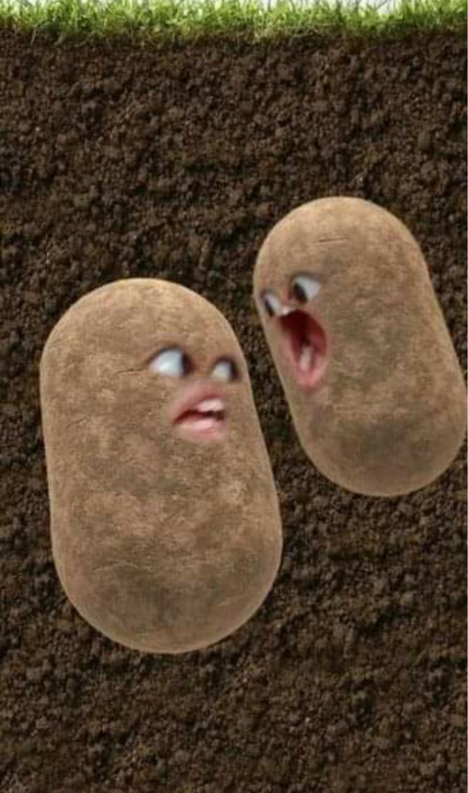 Name:  Polish_٢٠٢٣٠٦٠٨_٠٧٢٨٥٨٤٣٤.jpg
Views: 80
Size:  93.8 KB