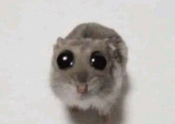 Name:  Polish_٢٠٢٣٠٦٠٨_٠٧٣٣٠٤٨٥٣.jpg
Views: 89
Size:  16.6 KB