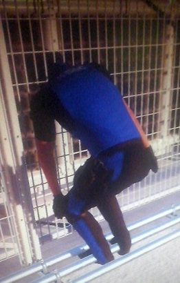 Name:  21040552_350172418772465_1924423827_n.jpg
Views: 101
Size:  42.0 KB