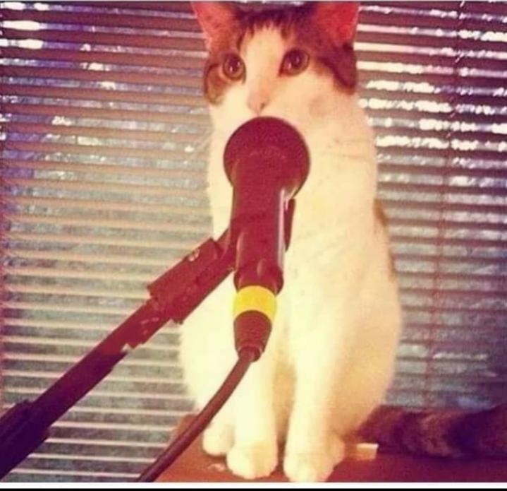 Name:  Polish_٢٠٢٣٠٦١١_١٠٠٦٣٤٦٠٢.jpg
Views: 56
Size:  60.9 KB