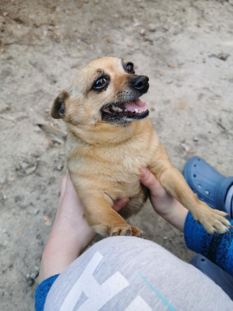 Name:  IMG_20200328_133647.jpg
Views: 94
Size:  85.7 KB