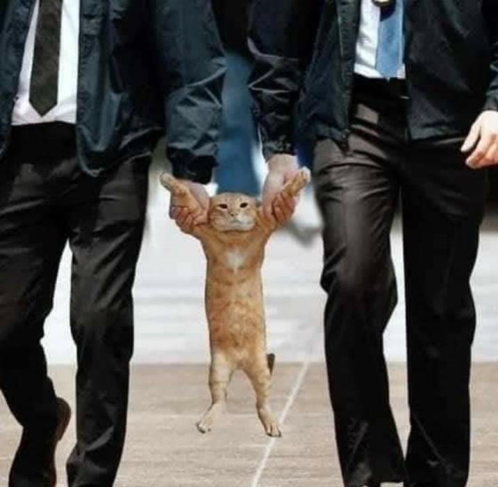 Name:  Polish_٢٠٢٣٠٦٠٨_٠٧٢٦٠٥٢٠٣.jpg
Views: 49
Size:  47.0 KB