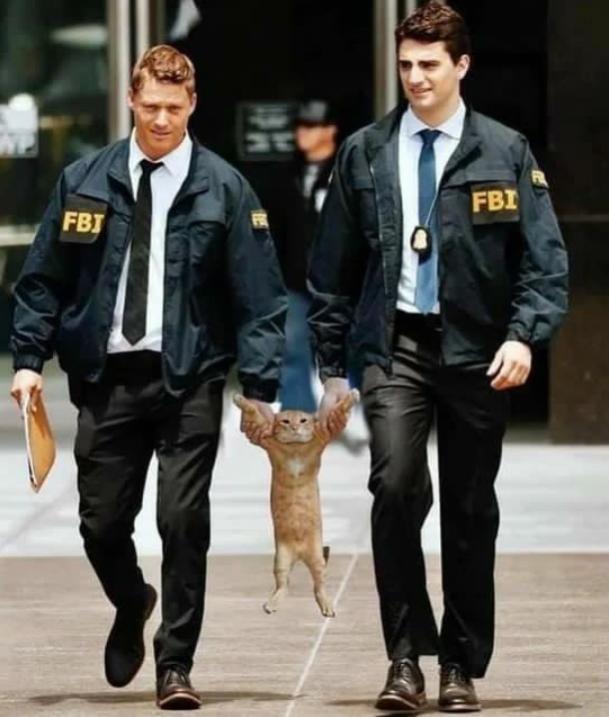 Name:  Polish_٢٠٢٣٠٦١٣_١٢٣١٢٧٢٤٦.jpg
Views: 49
Size:  49.6 KB