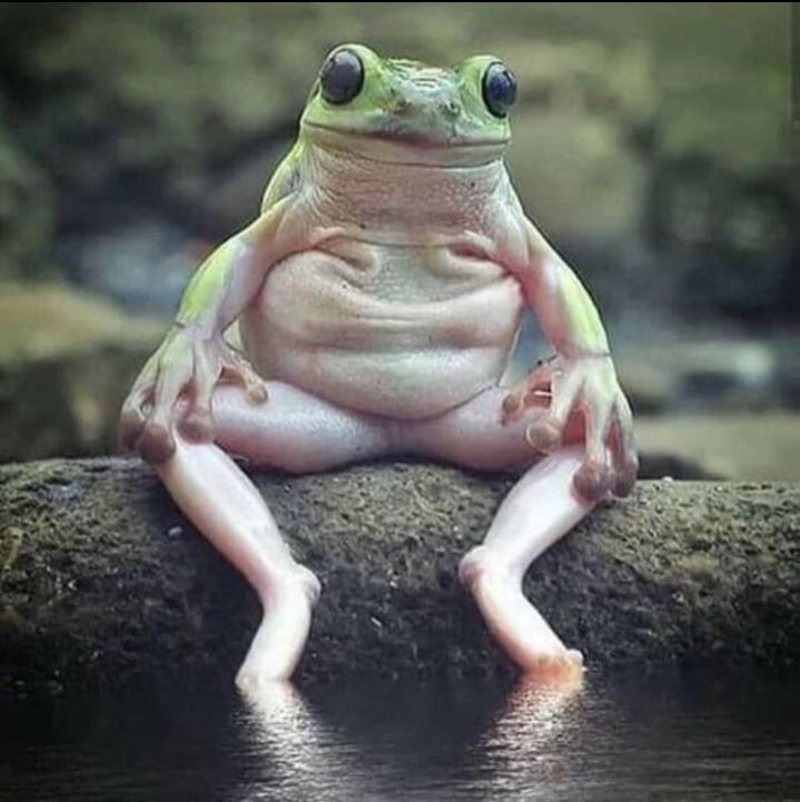 Name:  ٢٠٢٣٠٤٢٠_١٩٠٦٢١.jpg
Views: 139
Size:  57.0 KB